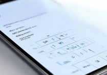 vivo手机连WiFi显示密码错误怎么办？