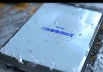 vivo手机进水后屏幕不亮，还能修吗？