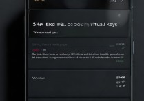 vivo手机怎么在设置里开启虚拟键？