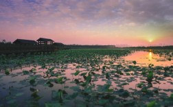 东丽湖风景区