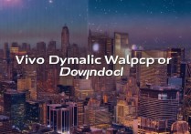 vivo 动态壁纸下载