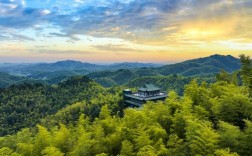 桃江竹海风景区