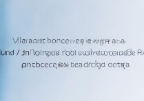 vivo手机如何修改已安装应用的名称？