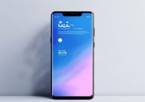 vivo 官网手机官网是什么？