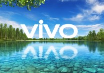如何获取vivo手机专属锁屏壁纸？