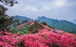 天马寨风景区