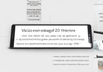 vivo手势放大怎么设置？开启后如何快速放大屏幕内容？