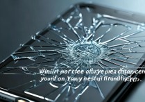 苹果手机外屏幕碎了，自己换屏和官方维修哪个更划算？