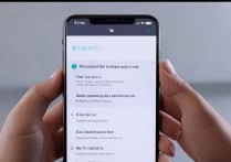 vivo 手机怎么分享 wifi