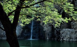 温州泽雅风景区门票