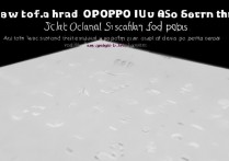 oppo加密设备怎么取消？手机取消加密步骤教程