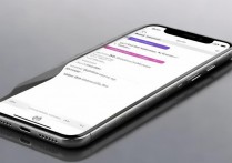 苹果手机怎么不显示手写功能吗，苹果手机手写功能在哪里设置