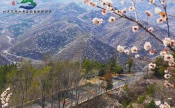 百花山自然风景区天气