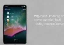 苹果手机电话打不进来能打出去是什么原因？