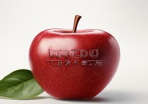 apple预约维修