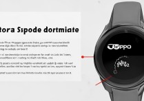 OPPOWatch2怎么进入运动模式？开启步骤详解