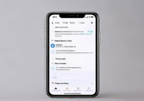 苹果截屏没声音怎么设置？开启方法是什么？