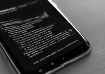 vivo 怎么传视频格式，vivo 手机视频传输格式疑问，vivo 视频格式转换大流量