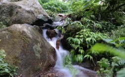 五指山热带雨林风景区电话