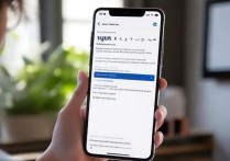 怎么用华为 上facebook