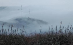 浙江东白山风景区在哪里