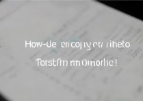苹果手机里的视频怎么拷贝出来？教你3种简单导出方法