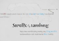 三星A8手机无法播放rmvb视频怎么办？