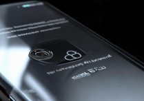 华为 P50 能防水吗？华为 P50 防水等级是多少？