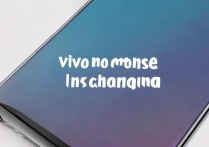 vivo手机不闪充了