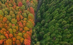 山王坪旅游攻略，如何规划一次完美的旅行体验？