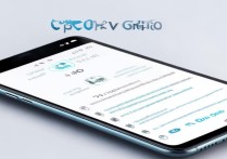 oppo手机授权使用怎么操作？新手必看步骤指南