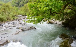 喇叭河自然风景区
