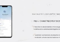 vivox5手机怎么改开机图案？设置教程在这里