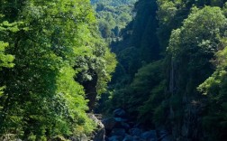 池州牯牛降风景区旅游