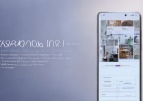 vivo怎么安装软件？vivo手机下载安装应用教程