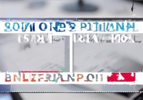 oppo3007刷机详细步骤是什么？新手必看教程。