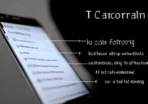 华为4x手机呼叫转移怎么设置？详细步骤教教你