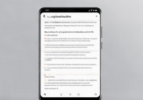 华为手机自动备份文件存在哪个具体文件夹？