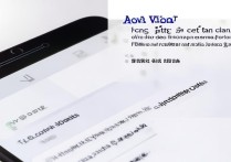 vivo手机怎么自动设置流量套餐？开启步骤是怎样的？