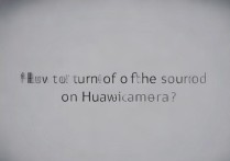 华为拍照怎么关闭声音？30字疑问长尾标题