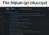 oppo手机卡刷教程，详细步骤与注意事项是什么？