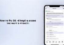 苹果手机九宫格输入法怎么设置？详细步骤是什么？