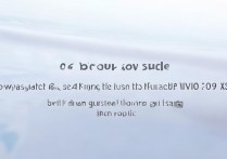 vivoX9语音功能怎么打开？详细步骤指南