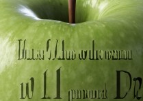 苹果怎么查ld密码是什么，苹果ID密码忘记了怎么找回