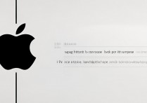 苹果备份太慢？怎么快速备份苹果手机数据？