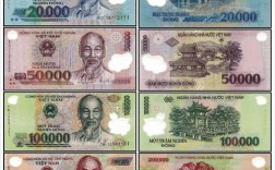 越南国金是什么