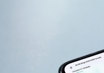 vivoy29l手机应用频繁闪退是什么原因导致的？