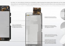 三星T810白屏是什么原因导致的？