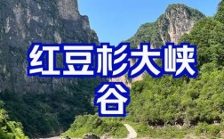 红豆杉大峡谷旅游攻略，如何规划一次完美的探险之旅？