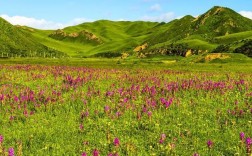 黄花沟风景区